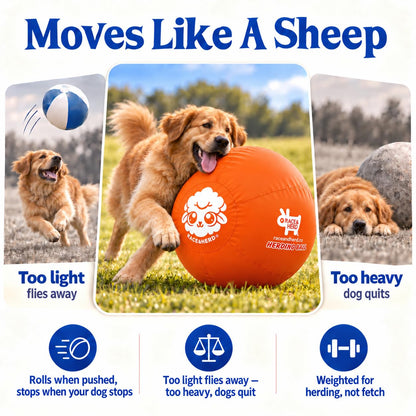Herding Ball for Dogs — XLarge 30" (Tangerine)