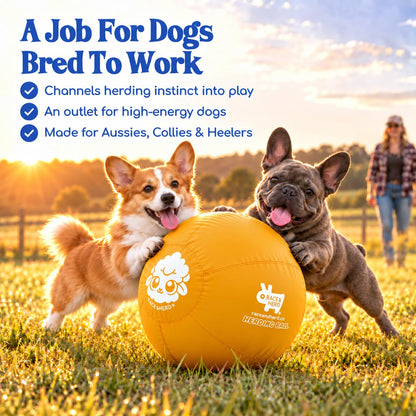 Herding Ball for Dogs — Small 18"