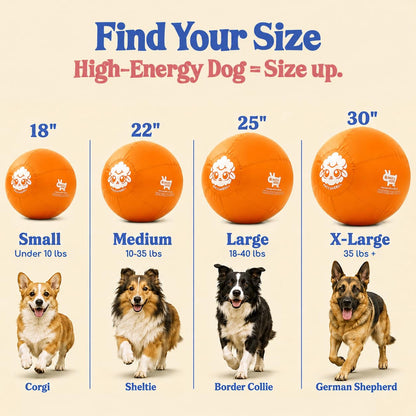 Herding Ball for Dogs — Small 18" (Tangerine)