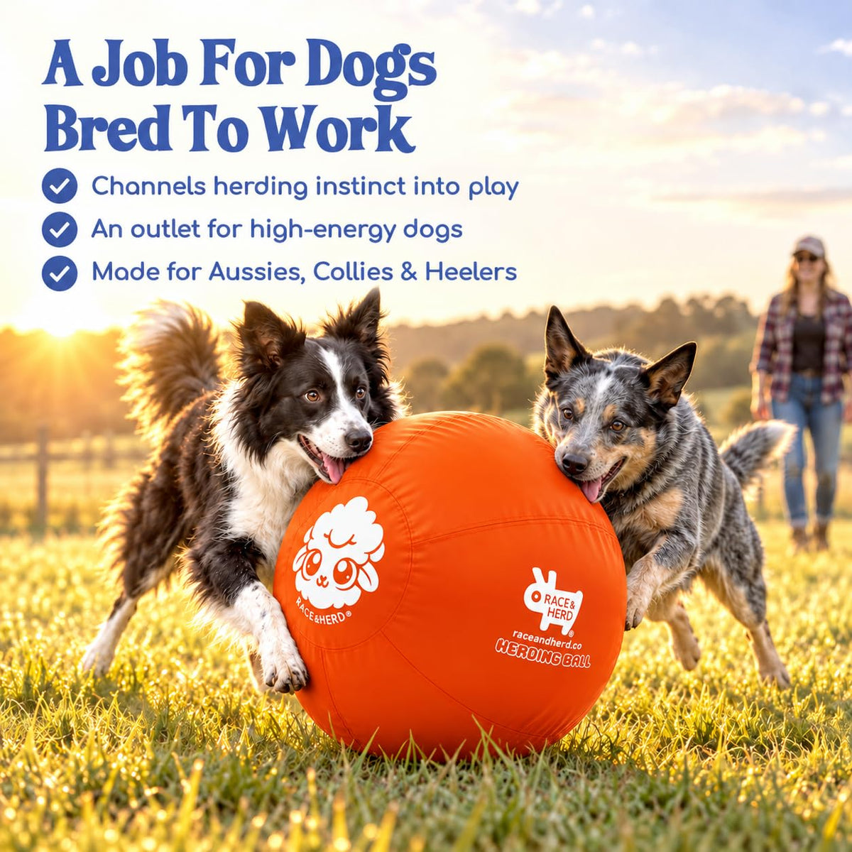 Herding Ball for Dogs — Large 25" (Tangerine)
