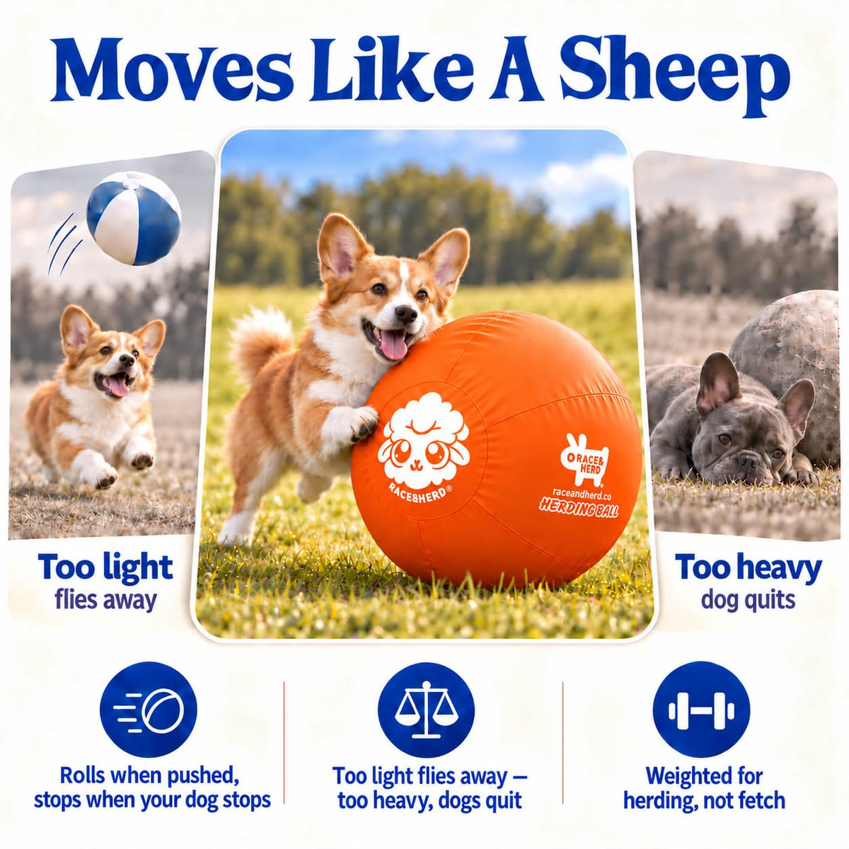 Herding Ball for Dogs — Small 18" (Tangerine)