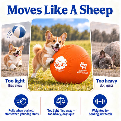 Herding Ball for Dogs — Small 18" (Tangerine)