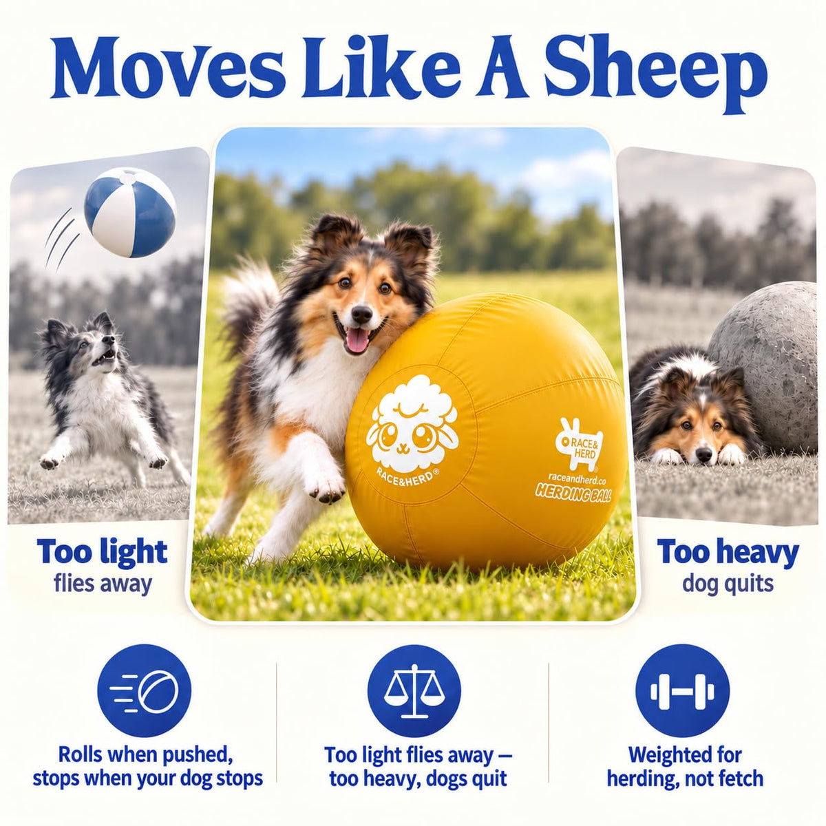 Herding Ball for Dogs — Medium 22" (Yellow)