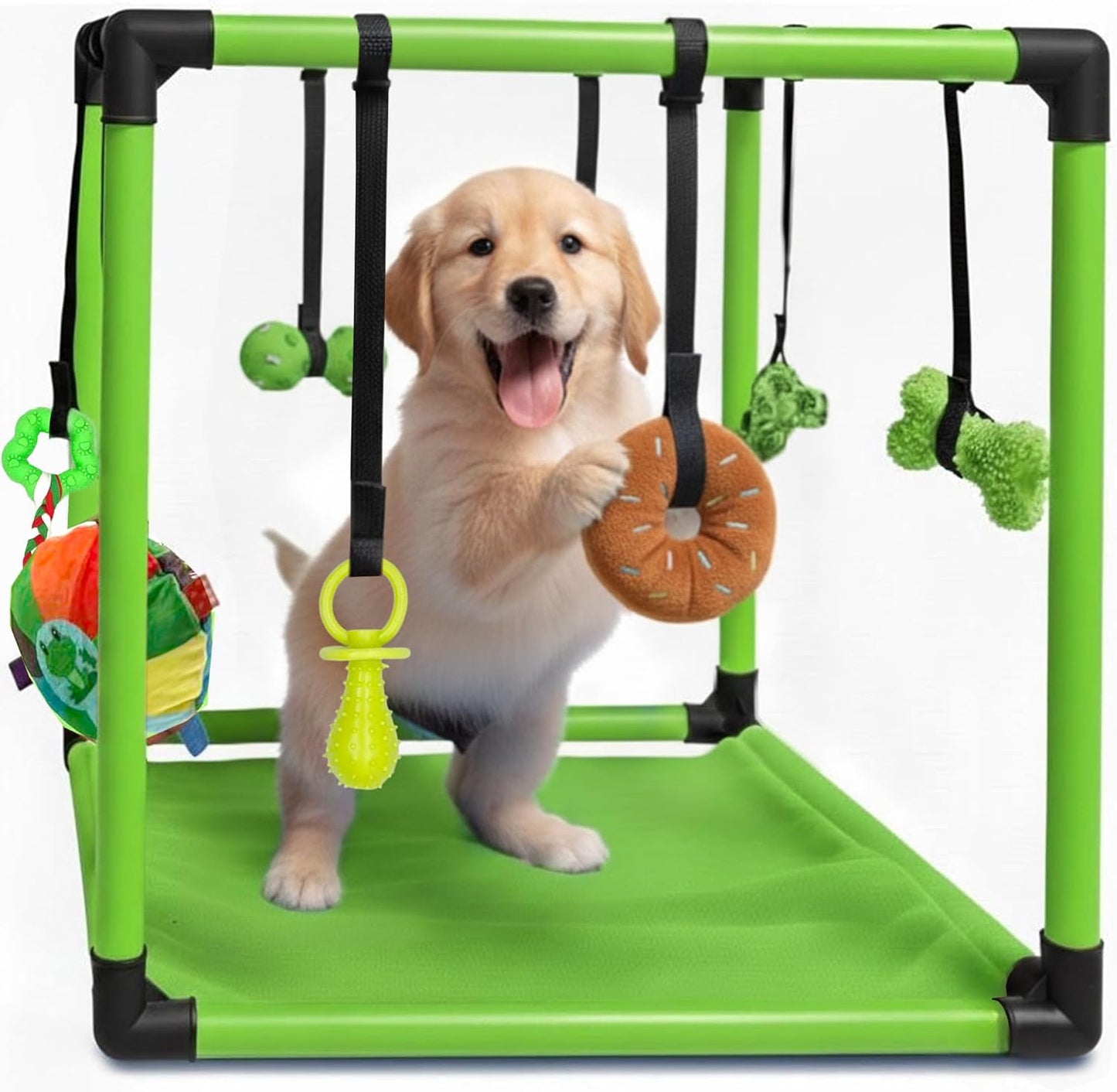 Puppy Play Gym  |  Dog Play Mat, 8 Bungee Straps - Green