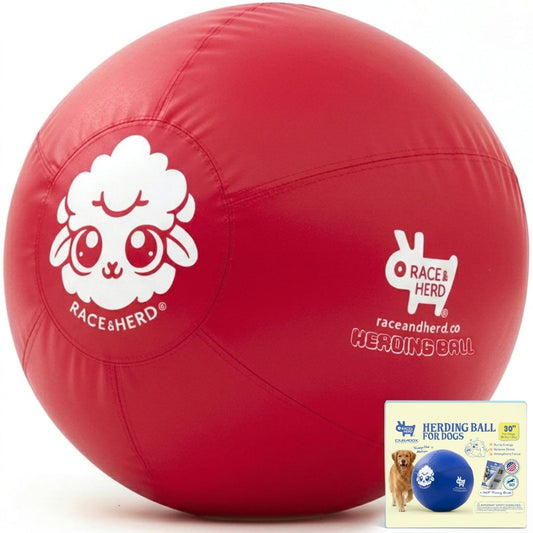 Herding Ball for Dogs — XLarge 30" (Cherry)