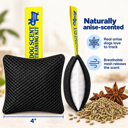 Original Dog Scent Training Kit — 10 Pcs Pouches Nosework Set (Onyx)