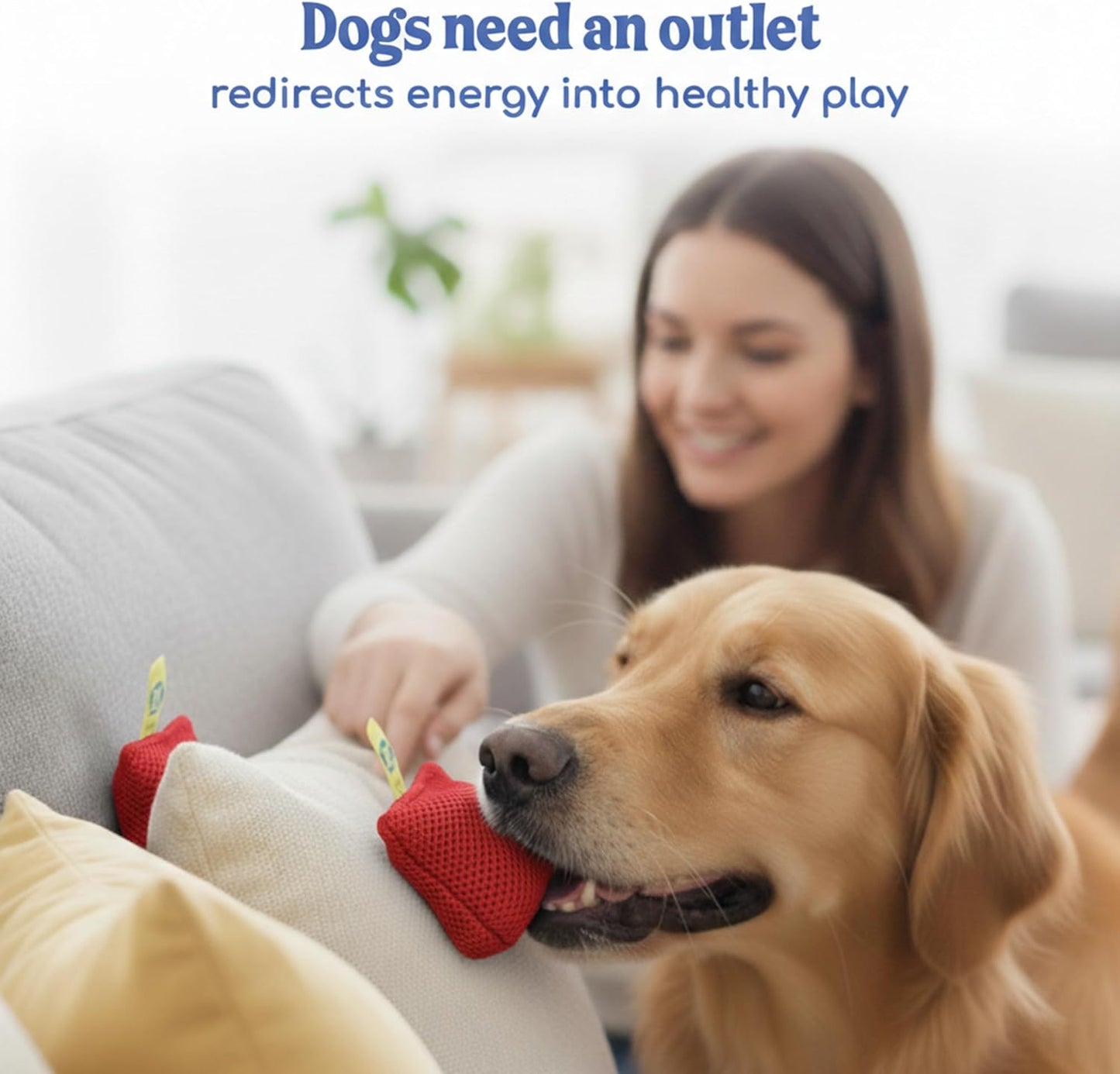 Sniff and Seek Dog Scent Game | Scent Training for Dogs | Red - 10 Pack Box