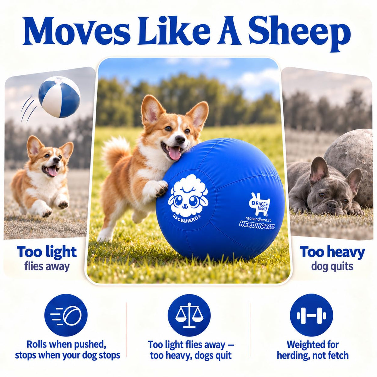 Herding Ball for Dogs — Small 18" (Blue)