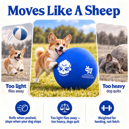 Herding Ball for Dogs — Small 18" (Blue)