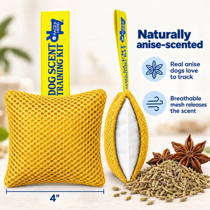 Original Dog Scent Training Kit — 10 Pcs Pouches Nosework Set (Gold)
