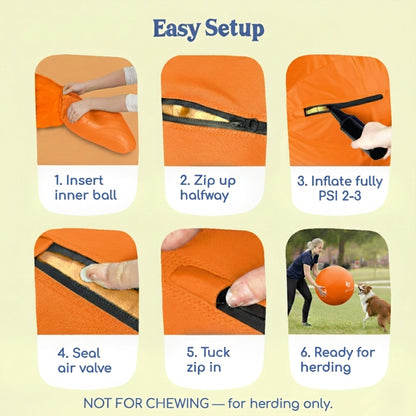 Herding Ball for Dogs — Large 25" (Tangerine)