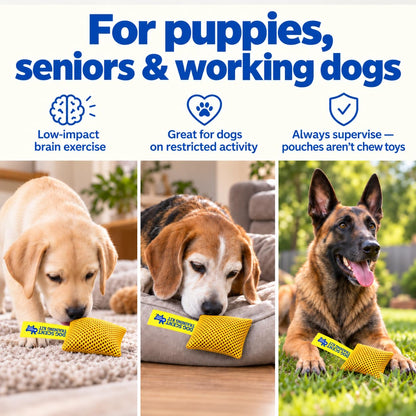 Original Dog Scent Training Kit — 10 Pcs Pouches Nosework Set (Gold)