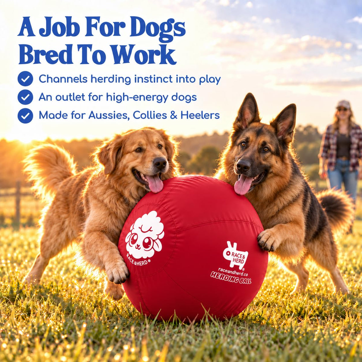 Herding Ball for Dogs — XLarge 30" (Cherry)