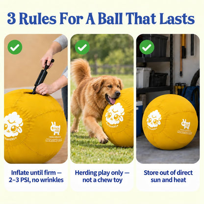 Herding Ball for Dogs — XLarge 30" (Yellow)
