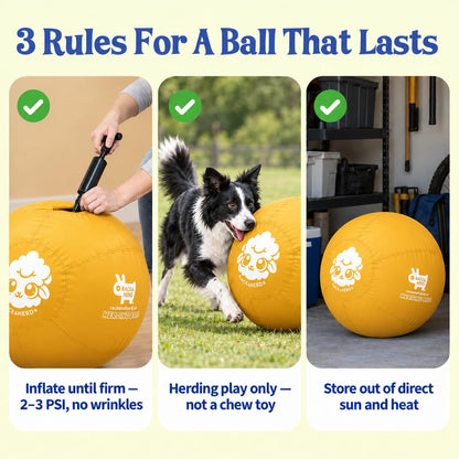 Herding Ball for Dogs Tetherball Set Outside 22" (Gold)