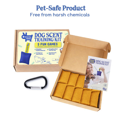 Original Dog Scent Training Kit — 10 Pcs Pouches Nosework Set (Gold)