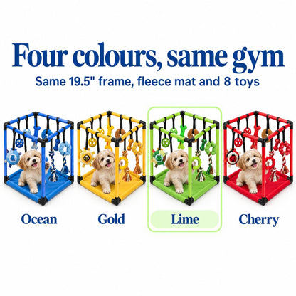 Puppy Play Gym — Small Dog Jungle Activity Mat 19.5" (Lime)