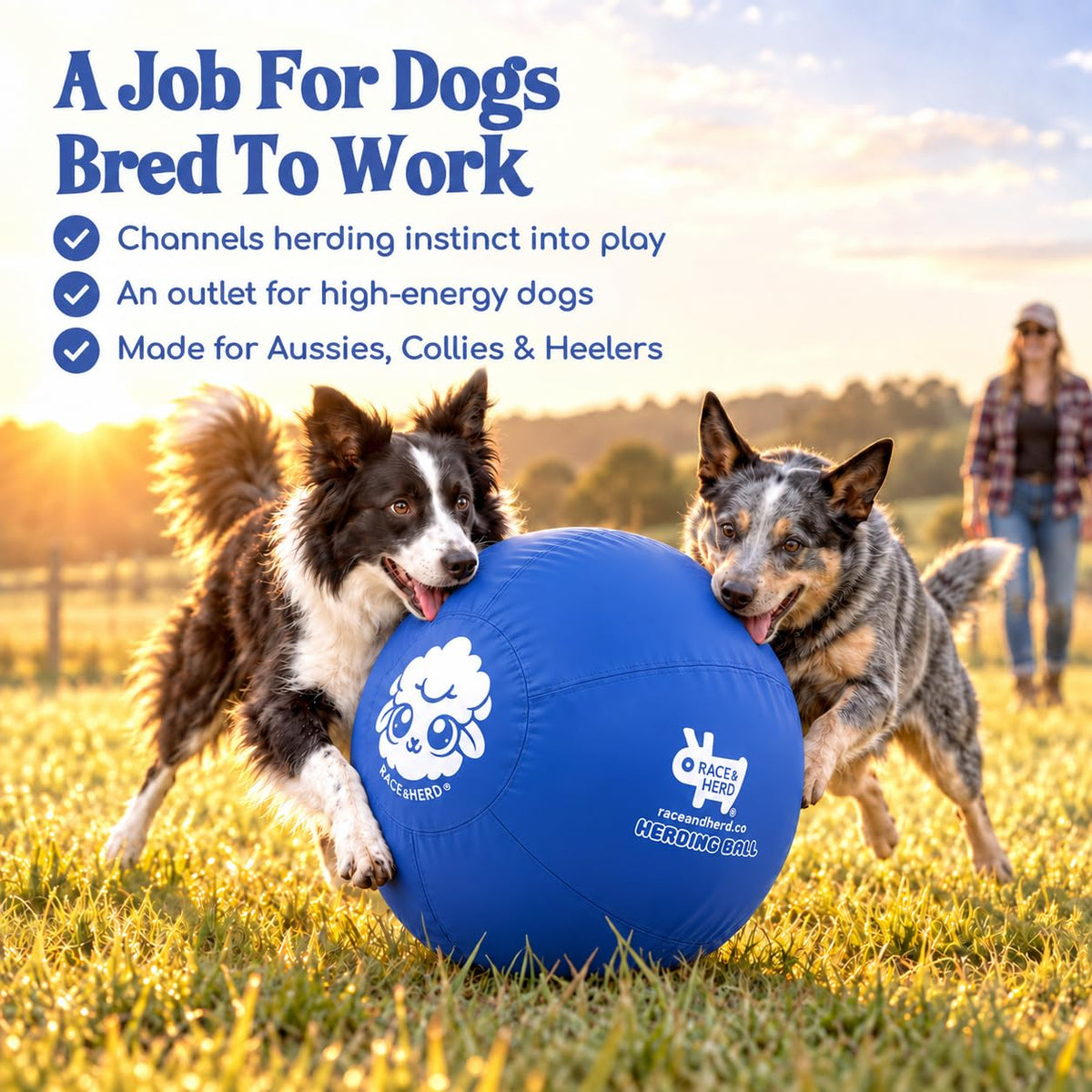 Herding Ball for Dogs Tetherball Set Outside 22" (Ocean)