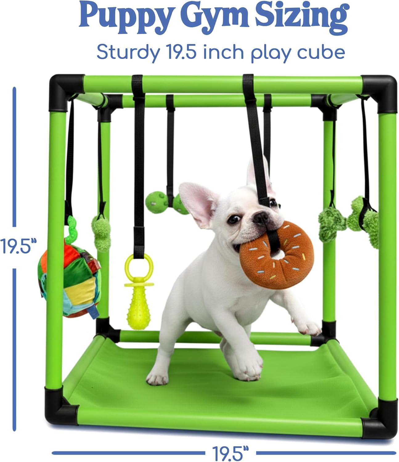 Puppy Play Gym  |  Dog Play Mat, 8 Bungee Straps - Green