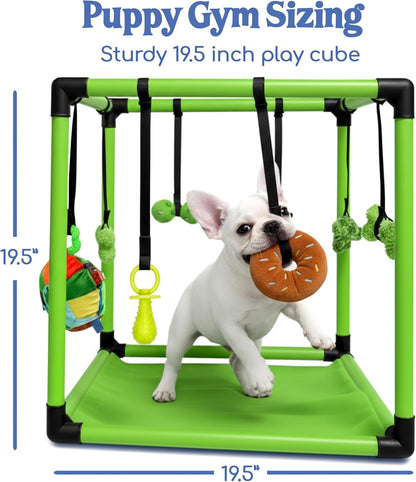 Puppy Play Gym  |  Dog Play Mat, 8 Bungee Straps - Green