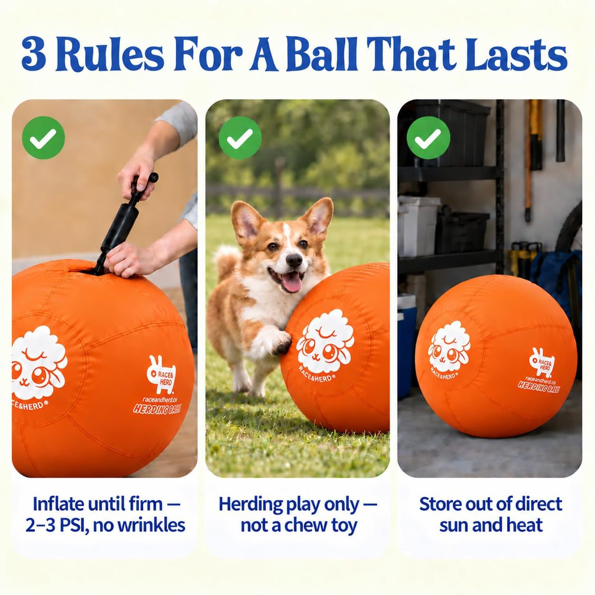 Herding Ball for Dogs — Small 18" (Tangerine)