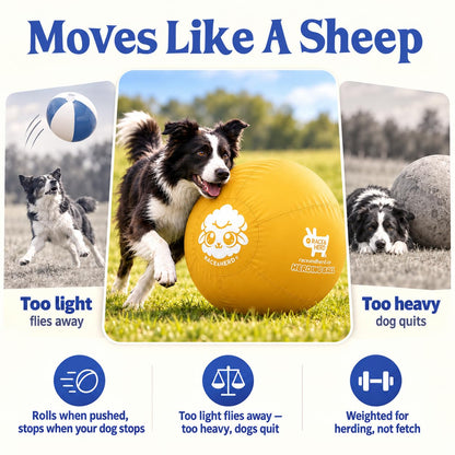 Herding Ball for Dogs Tetherball Set Outside 22" (Gold)