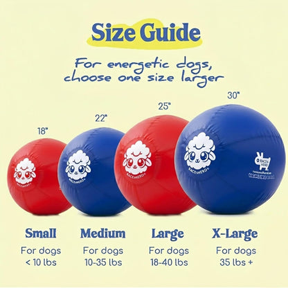 25" Herding Ball for Dogs | Large