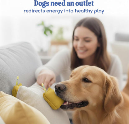 Sniff and Seek Dog Scent Game | Scent Training for Dogs | Yellow - 10 Pack Box