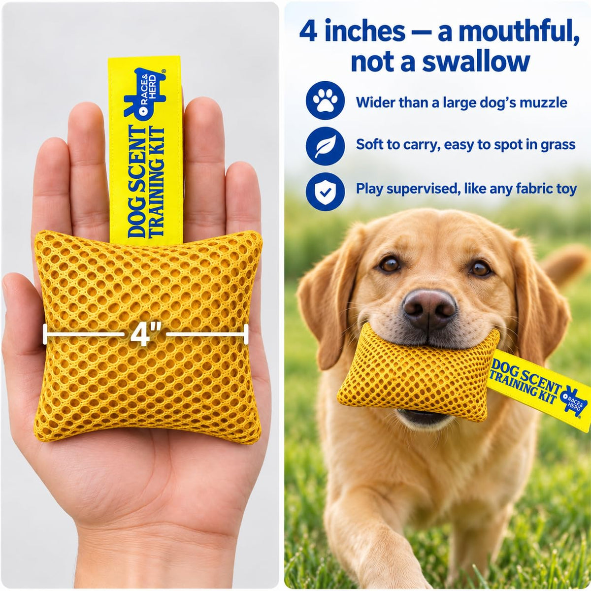 Original Dog Scent Training Kit — 10 Pcs Pouches Nosework Set (Gold)