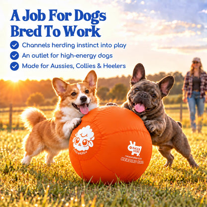 Herding Ball for Dogs — Small 18" (Tangerine)