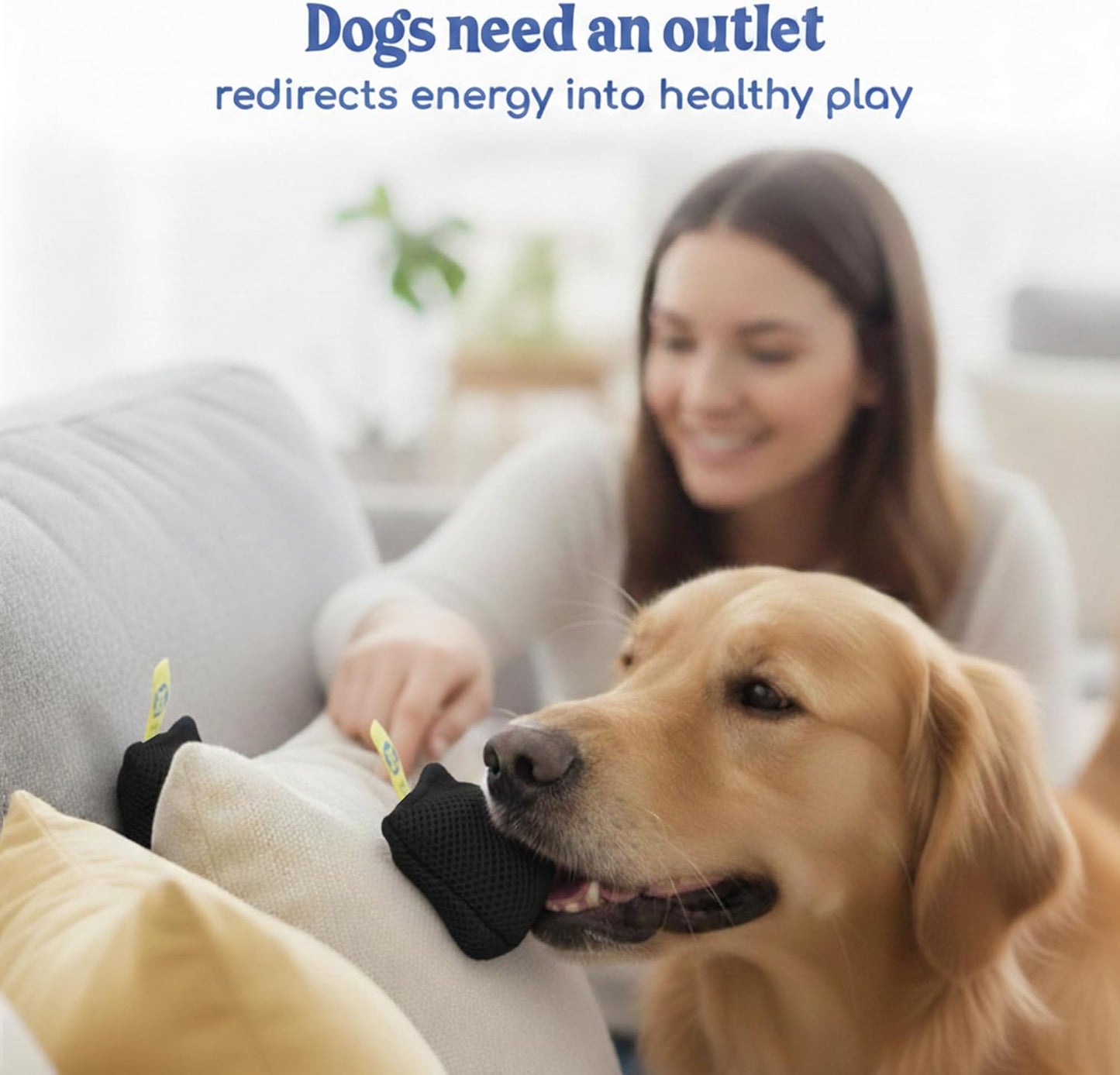 Sniff and Seek Dog Scent Game | Scent Training for Dogs | Black - 10 Pack Box