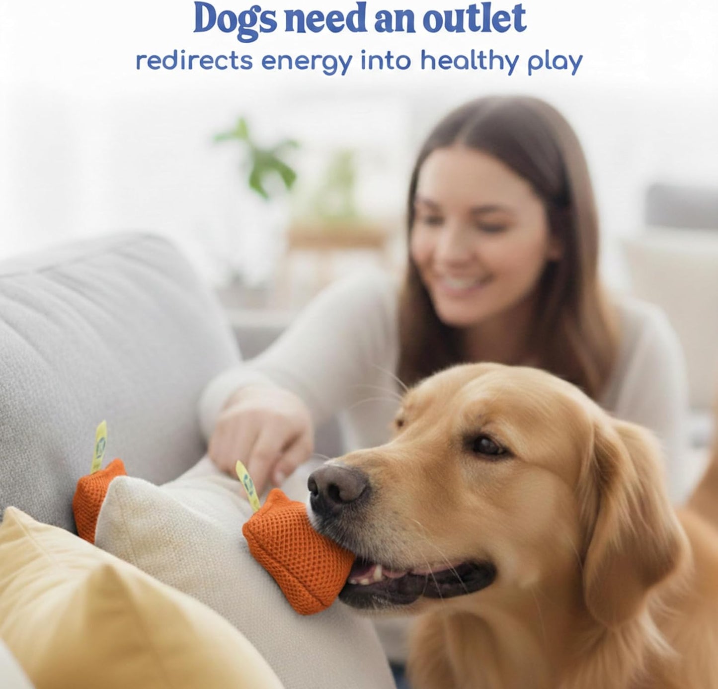 Sniff and Seek Dog Scent Game | Scent Training for Dogs | Orange - 10 Pack Box