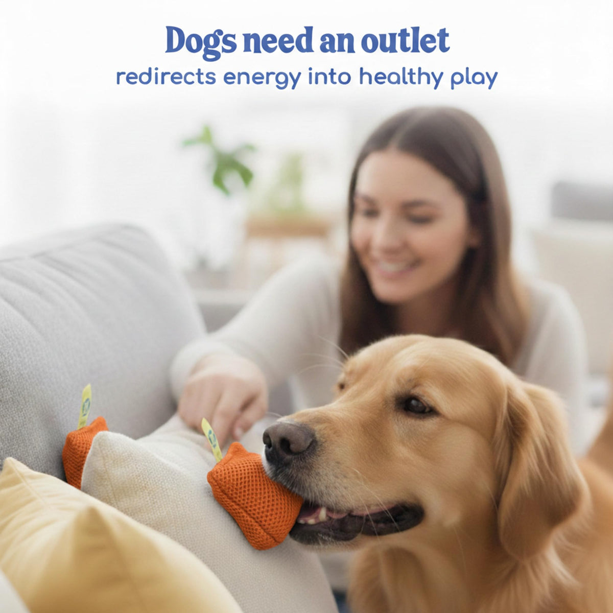 Original Dog Scent Training Kit — 10 Pcs Pouches Nosework Set (Tangerine)