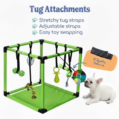 Puppy Play Gym  |  Dog Play Mat, 8 Bungee Straps - Green