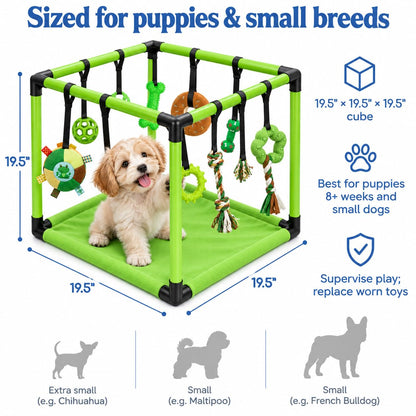 Puppy Play Gym — Small Dog Jungle Activity Mat 19.5" (Lime)
