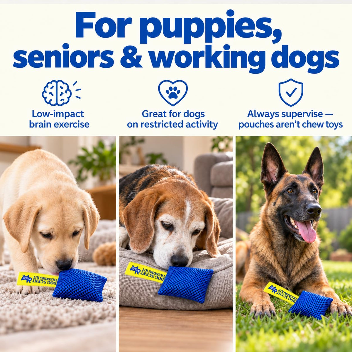 Original Dog Scent Training Kit — 6 Pcs Pouches Nosework Set (Blue, Bag)