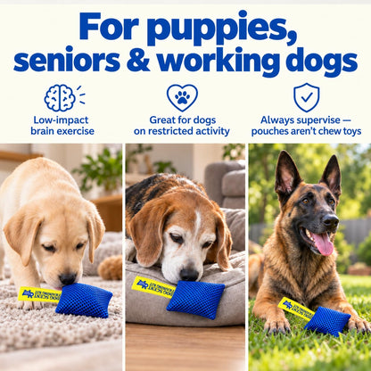 Original Dog Scent Training Kit — 6 Pcs Pouches Nosework Set (Blue, Bag)