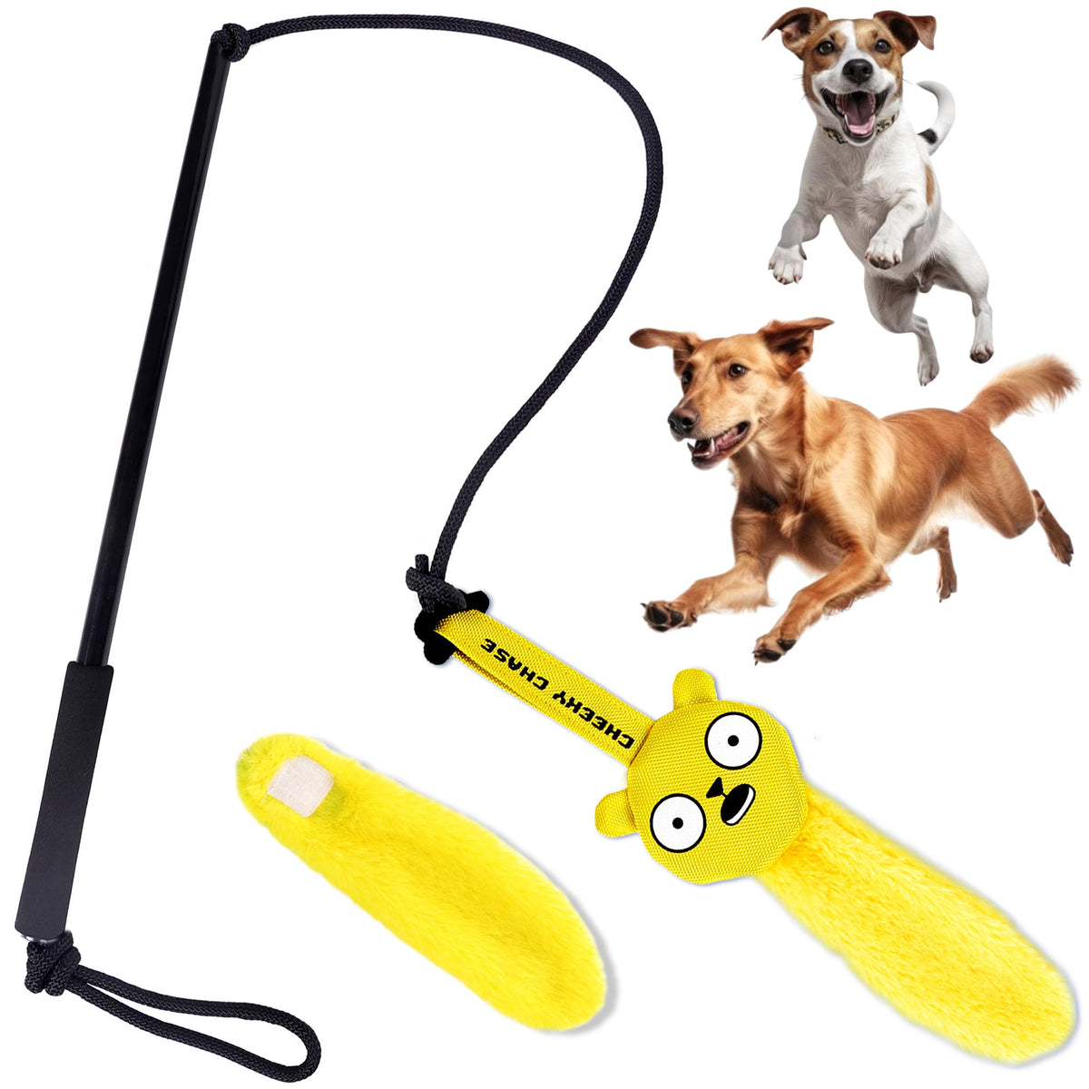 Flirt Pole Dog Toy
