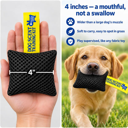 Original Dog Scent Training Kit — 10 Pcs Pouches Nosework Set (Onyx)