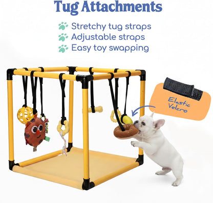 Puppy Play Gym  |  Dog Play Mat, 8 Bungee Straps - Yellow