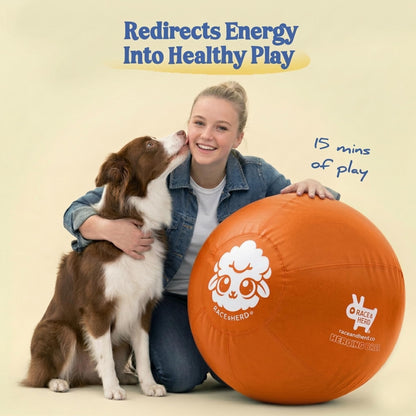 Herding Ball for Dogs — XLarge 30" (Tangerine)