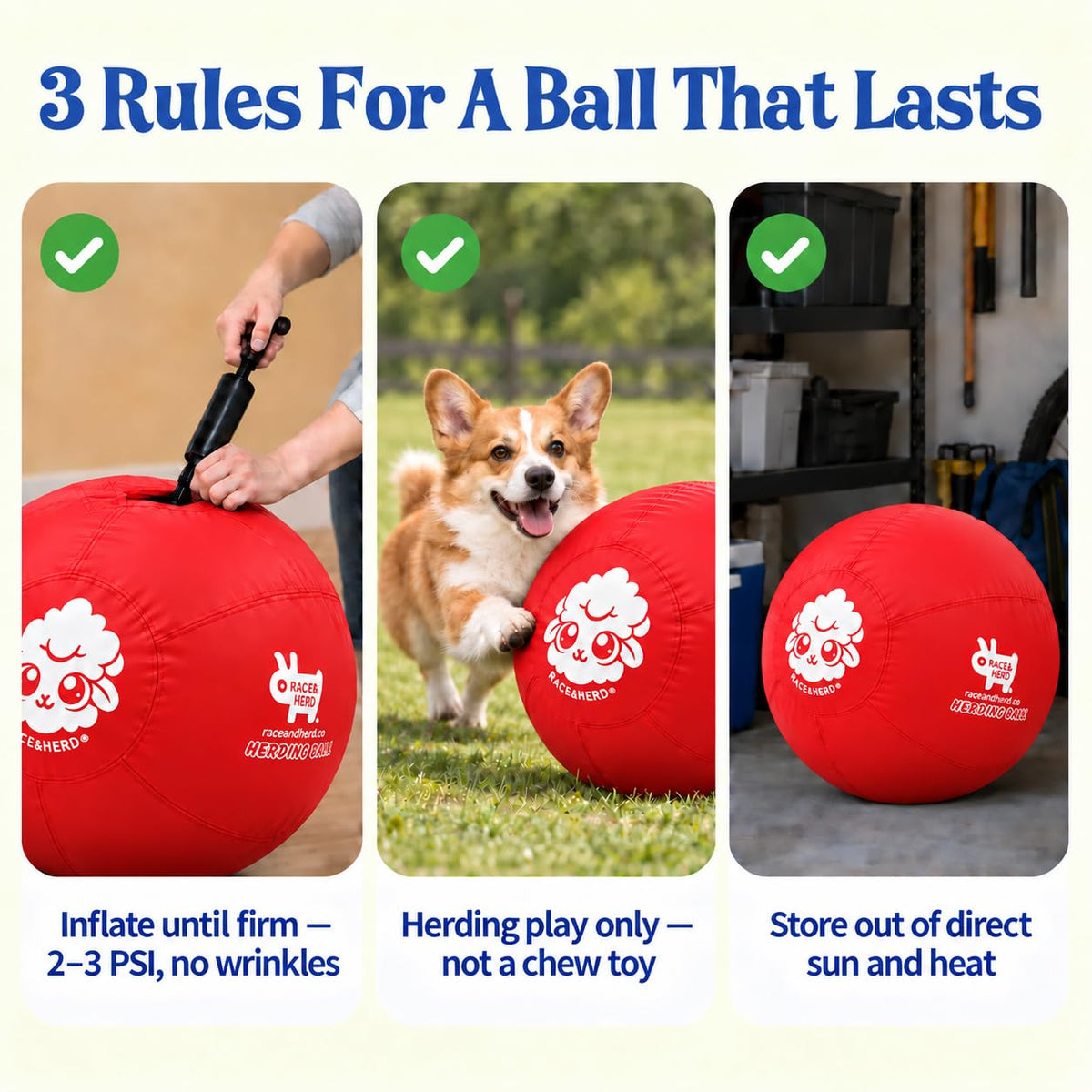 Herding Ball for Dogs — Small 18" (Cherry)