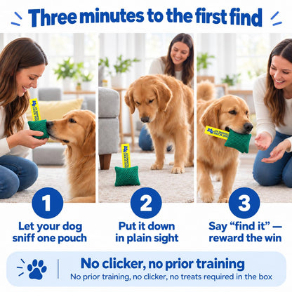 Original Dog Scent Training Kit — 10 Pcs Pouches Nosework Set (Sage)