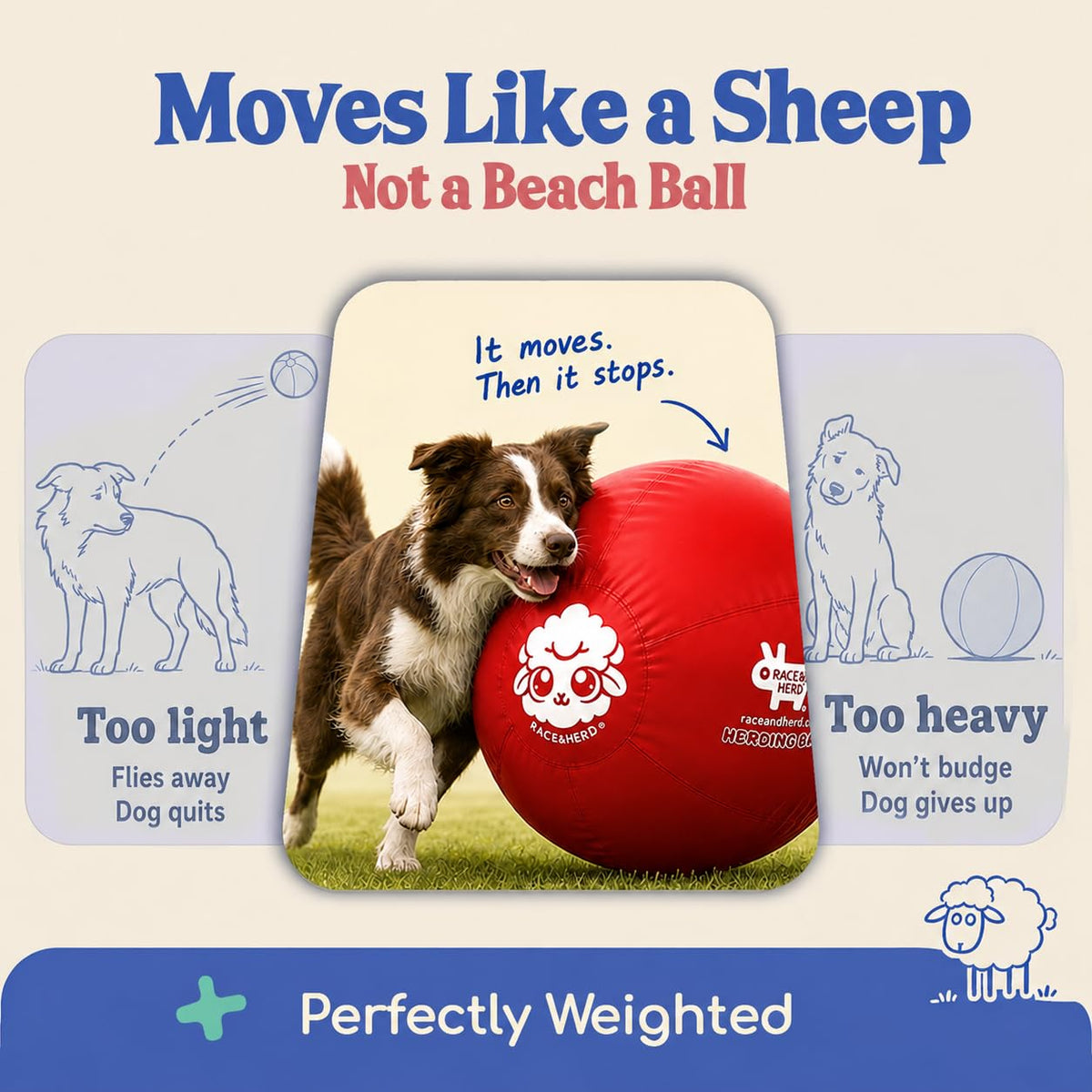 Herding Ball for Dogs — Small 18" (Cherry)