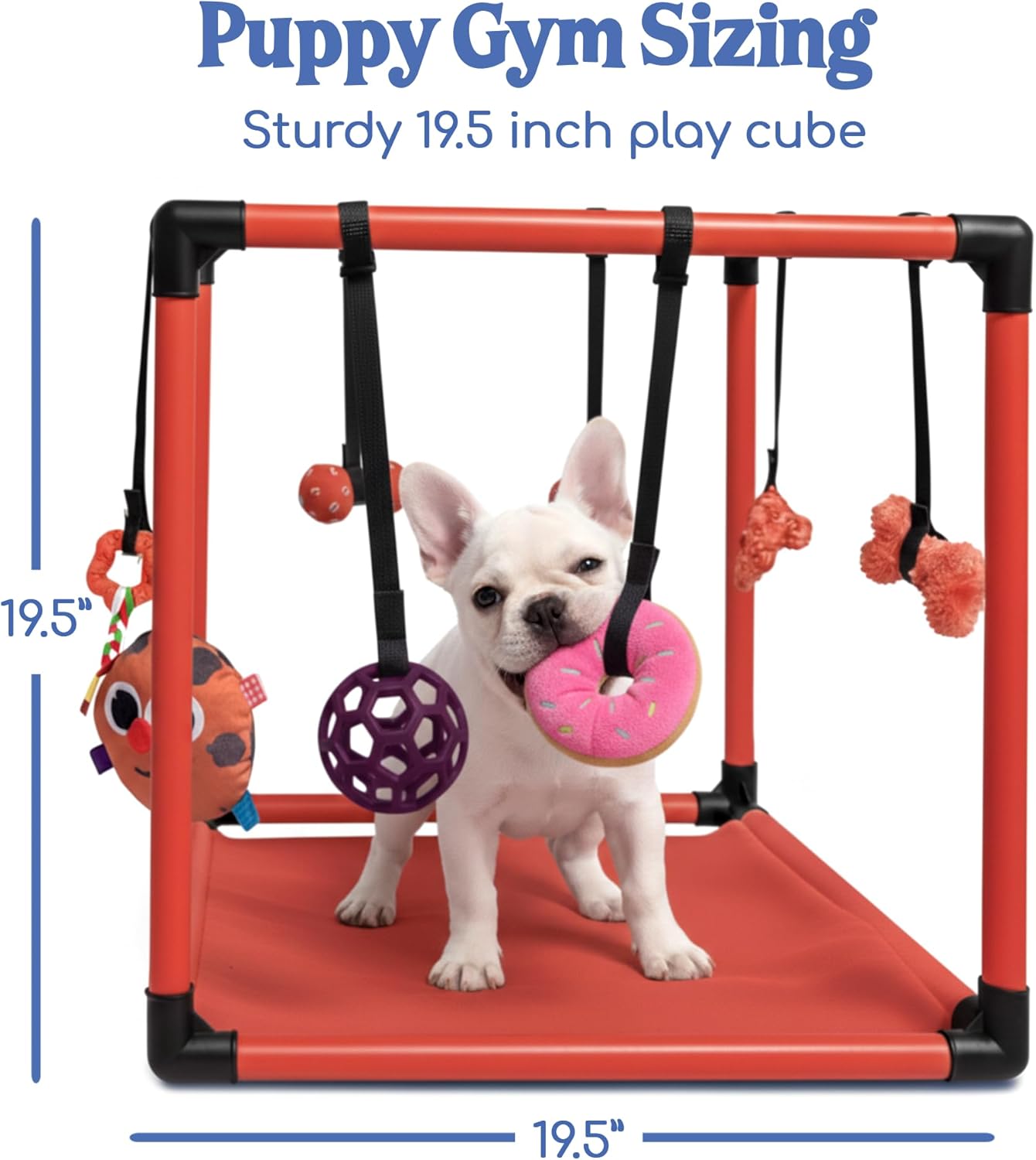 Puppy Play Gym  |  Dog Play Mat, 8 Bungee Straps - Red