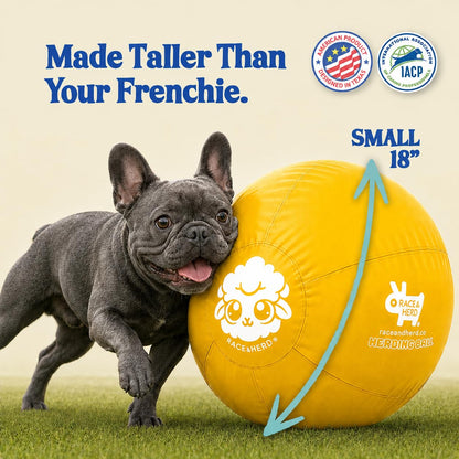 Herding Ball for Dogs — Small 18"