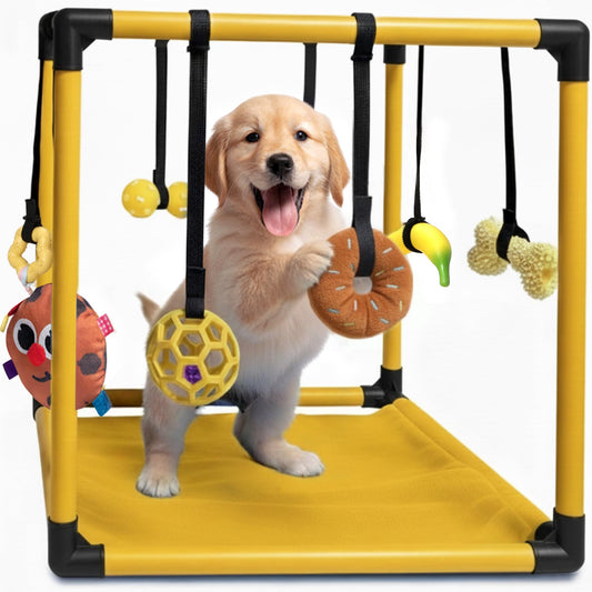 Puppy Play Gym — Small Dog Jungle Activity Mat 19.5" (Gold)