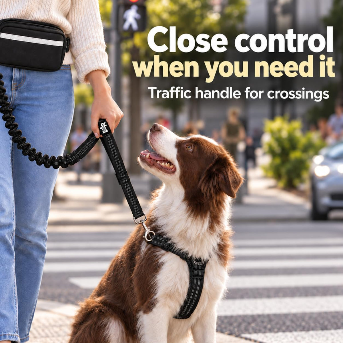 Dog Running Leash Hands Free — 68" Bungee Waist Belt (Onyx)