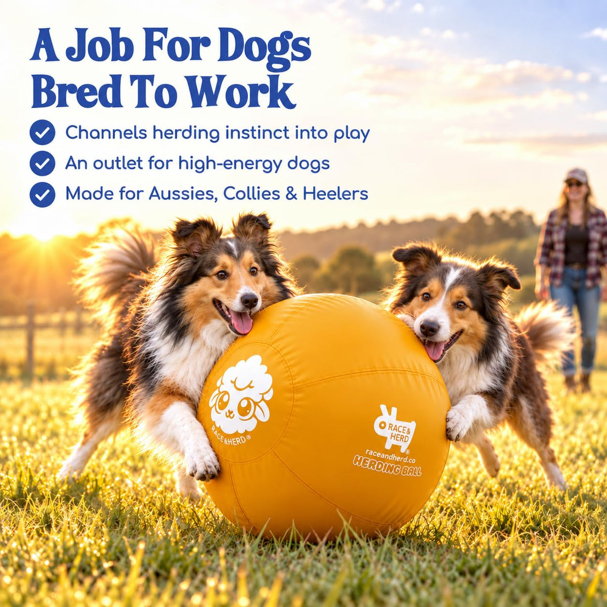 Herding Ball for Dogs — Medium 22" (Yellow)