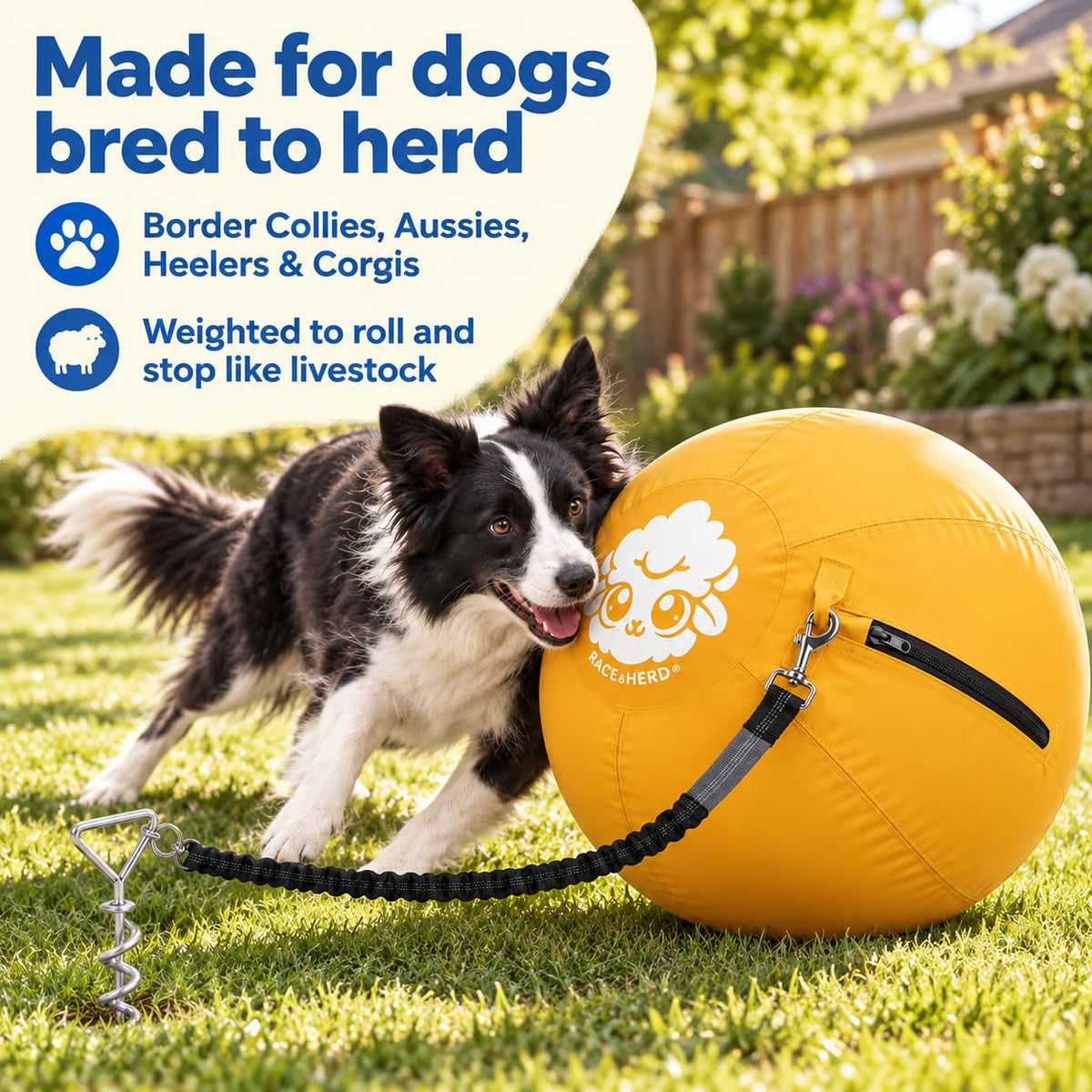 Herding Ball for Dogs Tetherball Set Outside 22" (Gold)